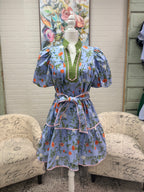 Blue Floral Tie Mini Dress