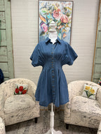 Denim Pleated Mini Dress