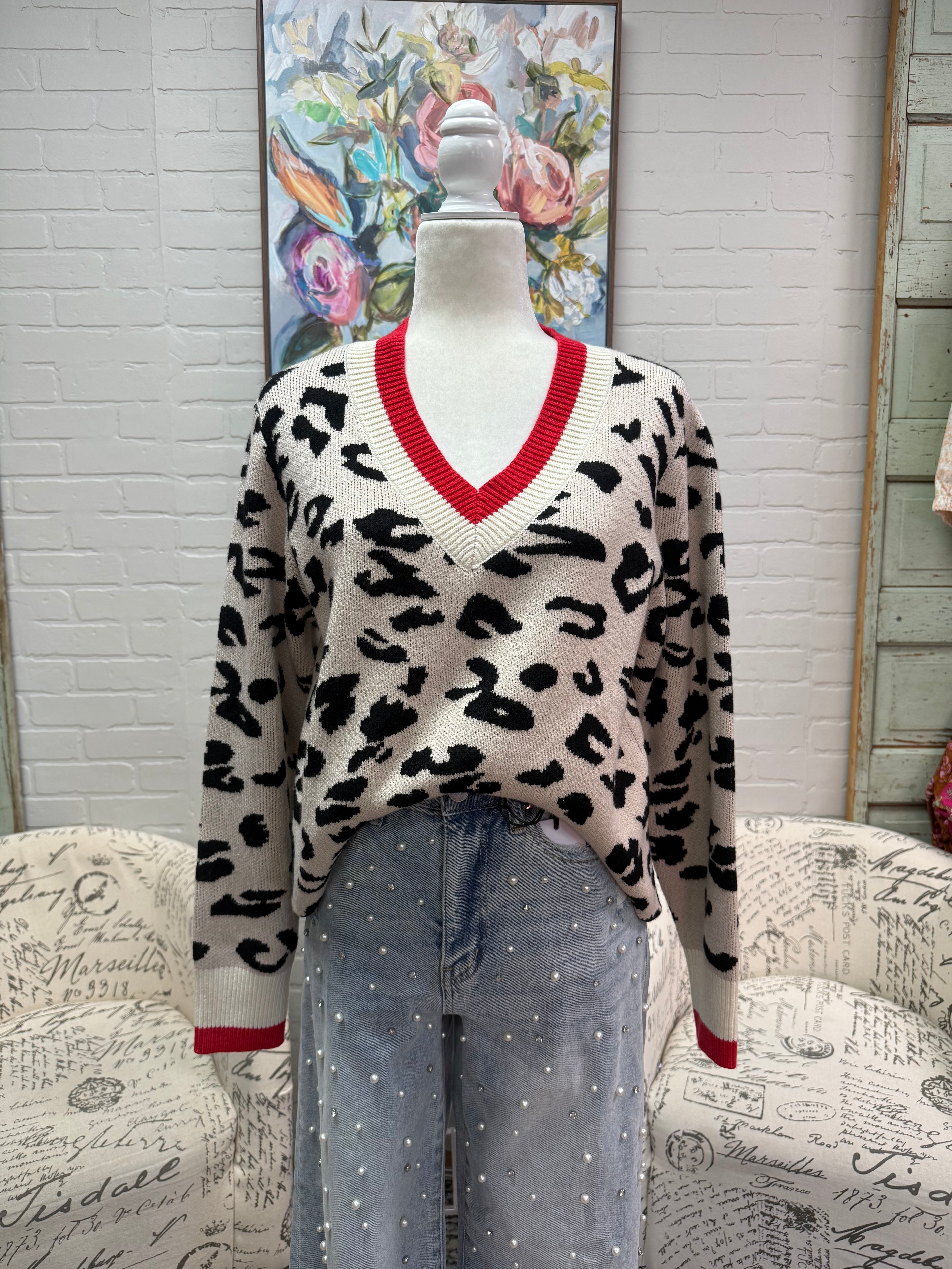 Leopard V- Neck Sweater