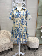 Blue Paisley Dress